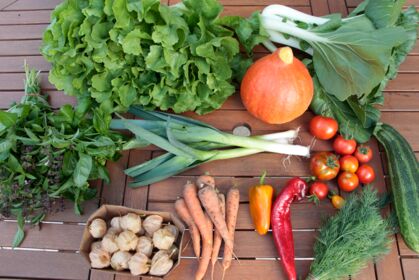 Endivie, Möhren, Tomaten, Paprika, Porree, Pak Choi, Basilikum Mix, Physalis, Dill, Zucchini, Hokkaido GemüeseKiste KW 36, frisch, lecker, natürlich gewachsen