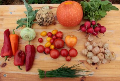 Paprika, Kohlrabi, Tomaten, Kürbis, Schnittlauch, Physalis, Radieschen GemüeseKiste KW 36, frisch, lecker, natürlich gewachsen