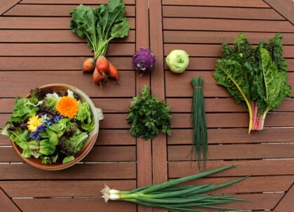 Pflücksalat mit essebaren Blüten, gelbe Bete, Kohlrabi, Petersilie, Schnittlauch, Lauchzwiebel, Mangold GemüeseKiste LW 25, frisch, lecker, natürlich gewachsen