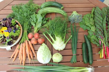 Pflücksalat mit essbaren Blüten, gelbe Bete, Lauchzwiebel, Mangold, Gurke, Zucchini, Brokkoli, Spitzkohl, Fenchel, Möhren, Schnittlauch, Kohlrabi GemüeseKiste KW 28, frisch, lecker, natürlich gewachsen