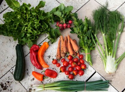 Endivie, Möhren, Tomaten, Paprika, Lauchzwiebel, Fenchel, Zucchini, Stangensellerie, Radieschen GemüeseKiste KW 36, frisch, lecker, natürlich gewachsen
