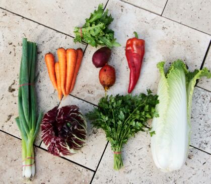Paprika, Lauchzwiebel, Radicchio, Chinakohl, Möhren, Rote/gelbe Bete, Ruccola, Petersilie GemüeseKiste KW 36, frisch, lecker, natürlich gewachsen