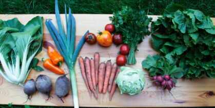 Endivie, Möhren, Tomaten, Paprika, rote Bete, Porree, Kohlrabi Superschmelz, Pak Choi, Radieschen, Petersilie GemüeseKiste KW 36, frisch, lecker, biologisch